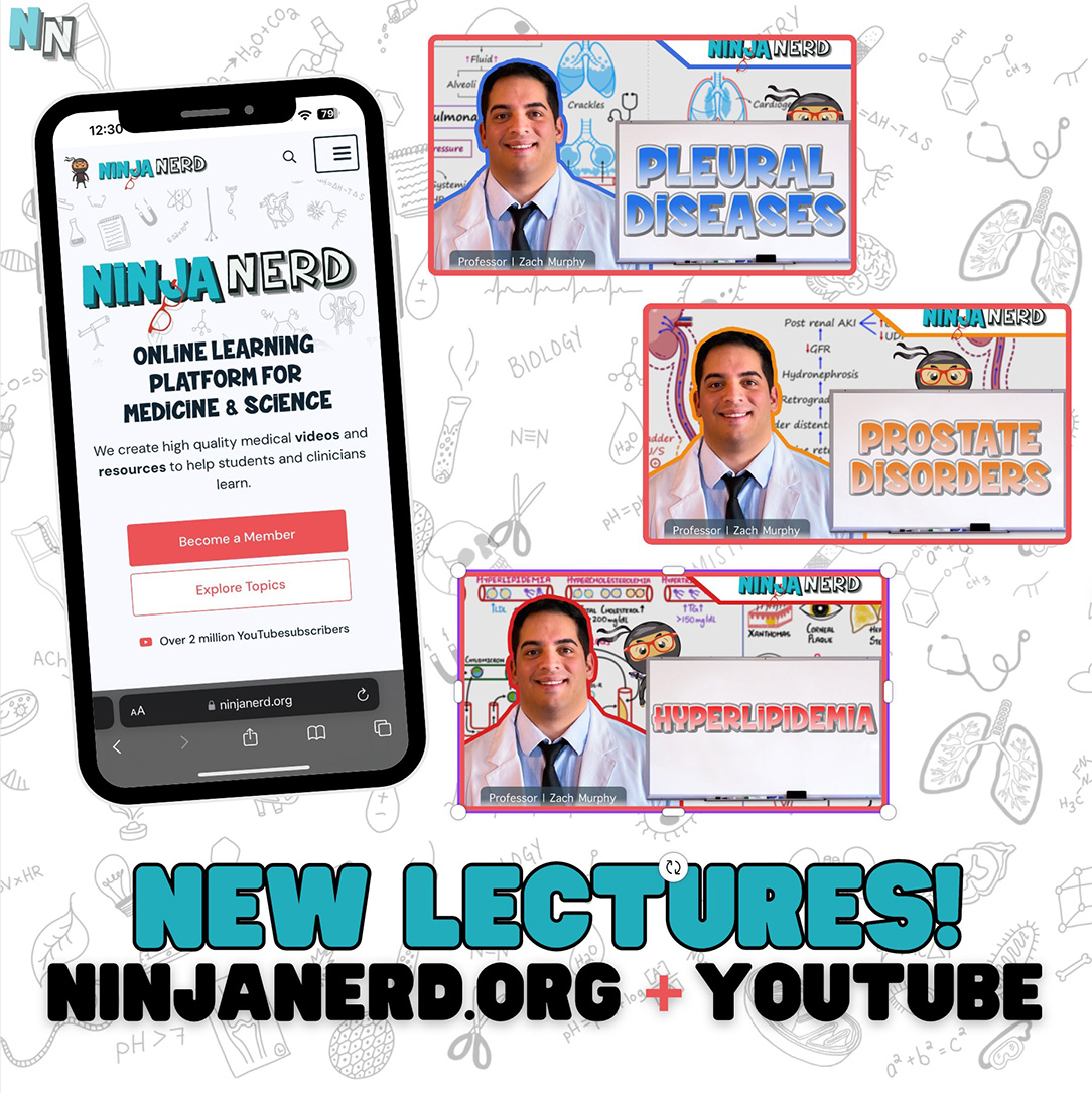 NEW LECTURES!